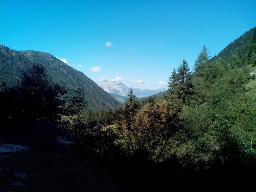 Gasthof Murauerhof Hotel Sankt Peter am Kammersberg ภายนอก รูปภาพ